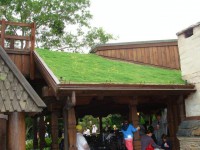 /album/fotogaleria-takari/techos-verdes-green-roof-jpg/